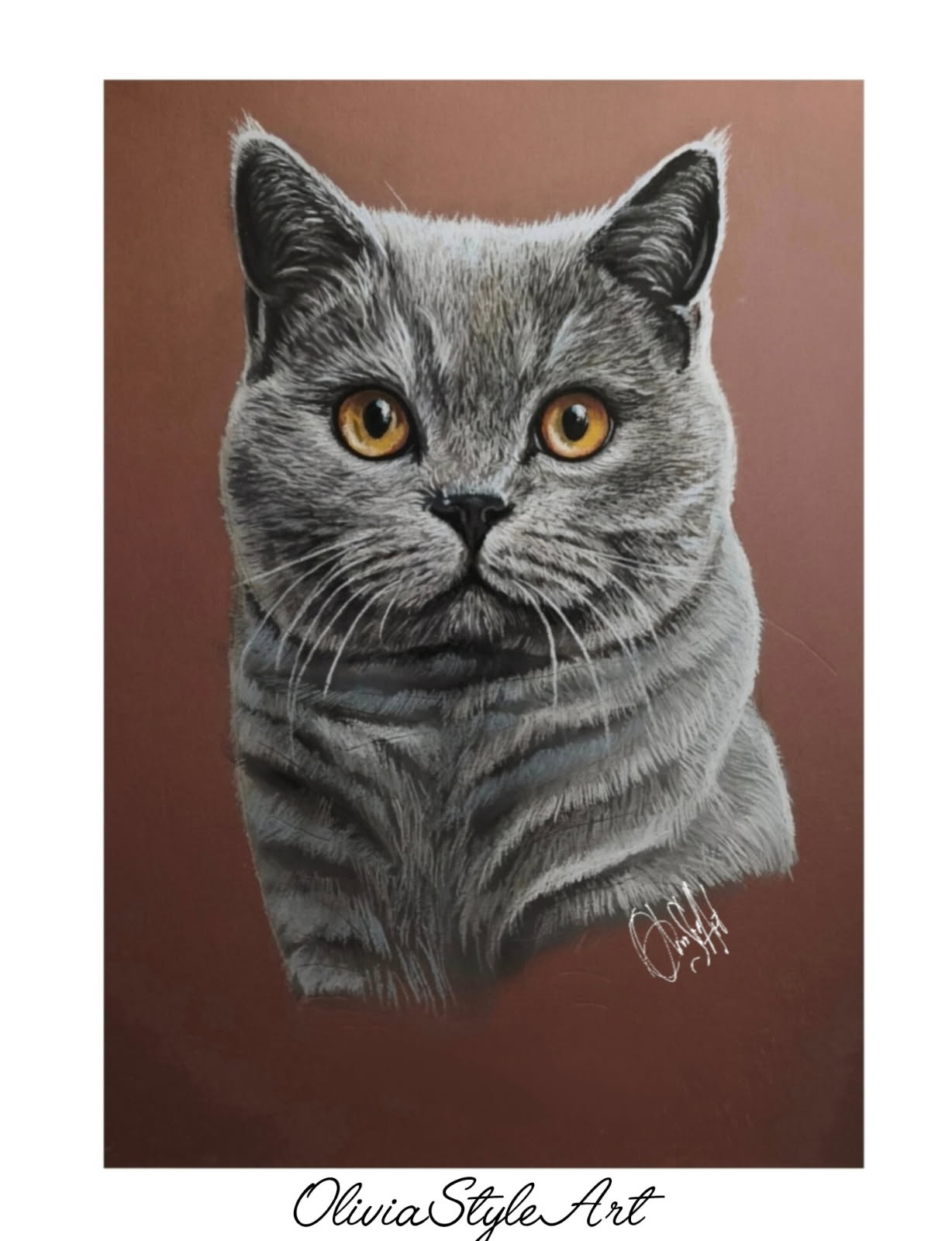 British shorthair bleue